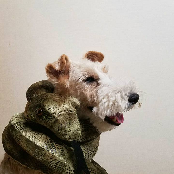 Fda159d2 4bb3 4aa1 8c28 5350c2bff659 1531351430692