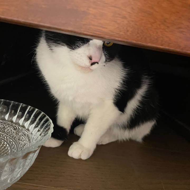 Fda1604d 20fa 4b79 afe7 b6e617ba2f22 1678964251043