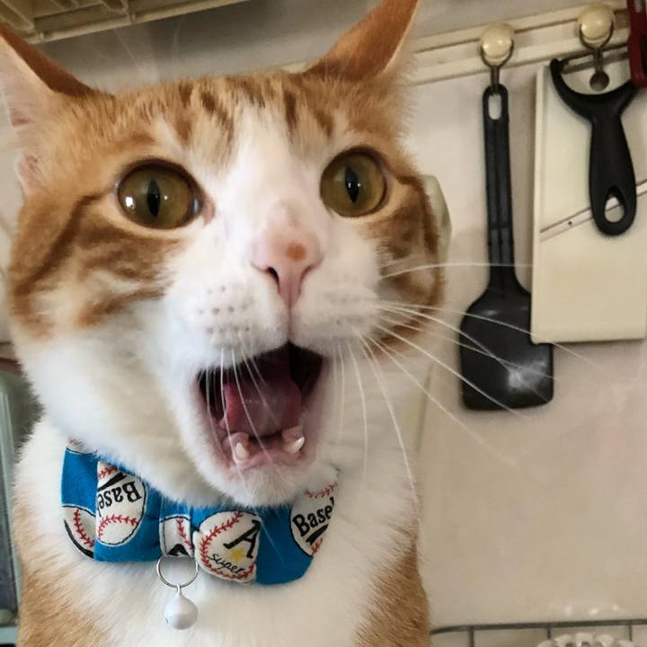 Fda17d9b d452 4586 bcf2 d981048db525 1532228417719