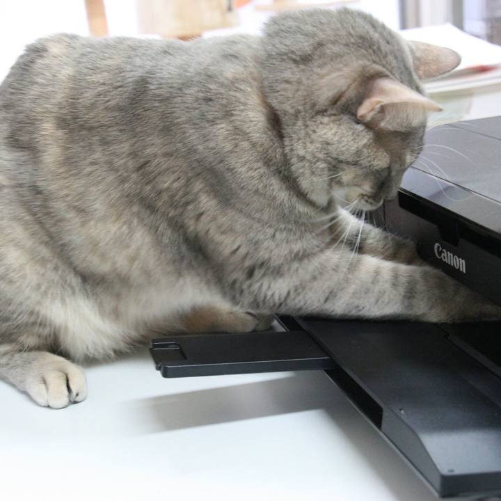 Fda19471 1579 48ec 9d41 3d40f06fb47e 1514555523443