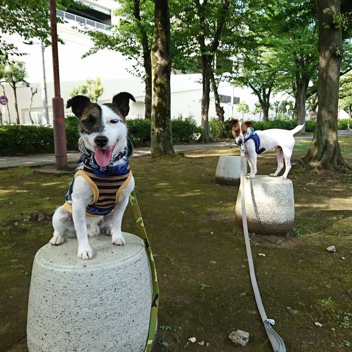 Fda1a014 f3d8 449b a58d 6363784909a5 1531524978452