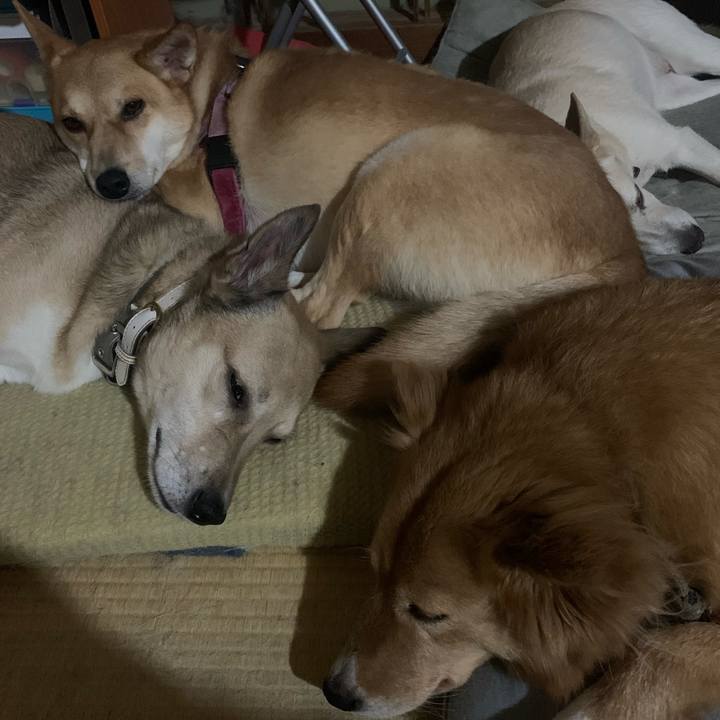 Fda1c615 c16e 4639 a9df ec987e60c7ab 1628303889739