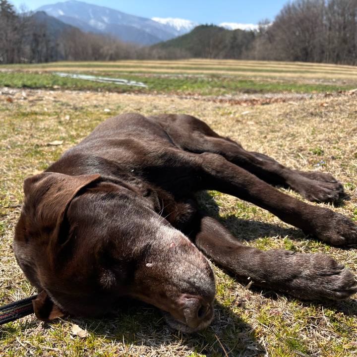 Fda1ecb2 aada 4c07 abca 5851e59c78b9 1774177100100