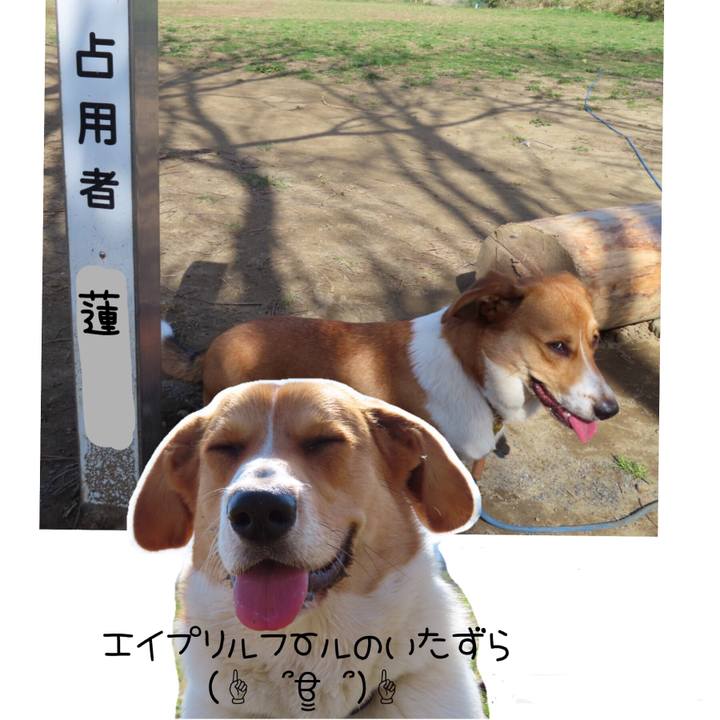 Fda20232 c2bf 48cc b532 1673c6fd0fd9 1617243206145