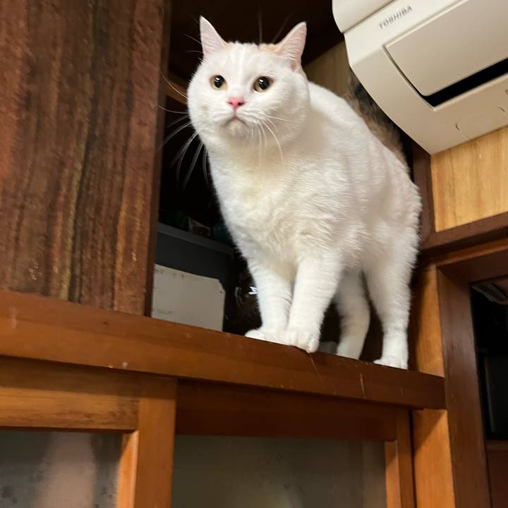 Fda26900 f7a8 4187 9eb1 e7a145cec2c7 1733536034111