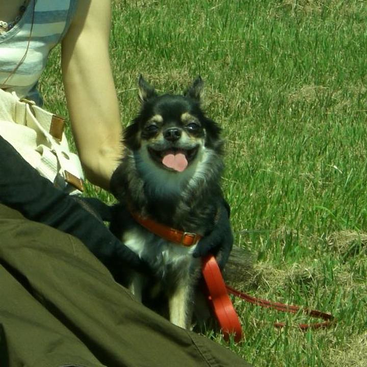 Fda2712e 3fa8 4f32 a434 983725d7ca47 1541486821980