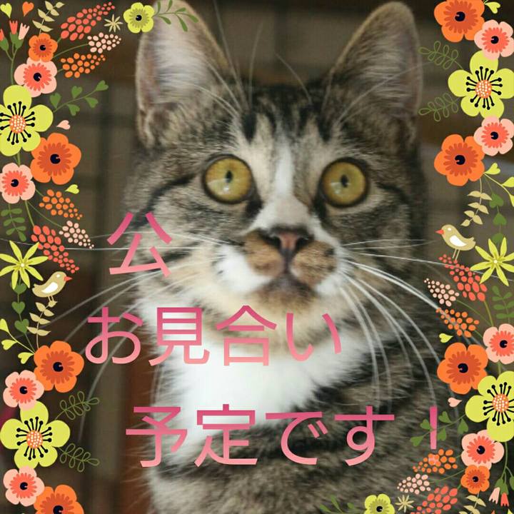 Fda28dc1 4769 413b 848d 563ba3816101 1616718604194