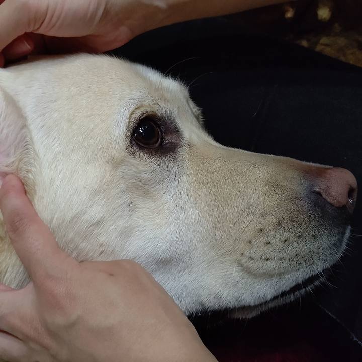 Fda29991 238d 4dd3 9784 a0c4fc09e425 1593514680977