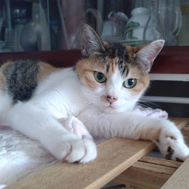 Fda2a549 da71 4a74 9844 db83020796e1 1695601542977