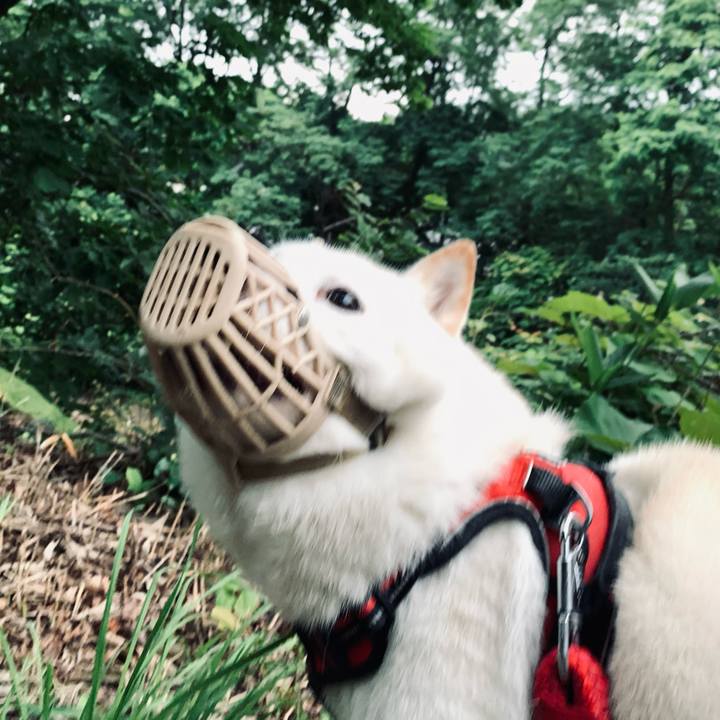 Fda2aba1 ca34 4db5 90a7 a62e8b0bfda2 1659126610311