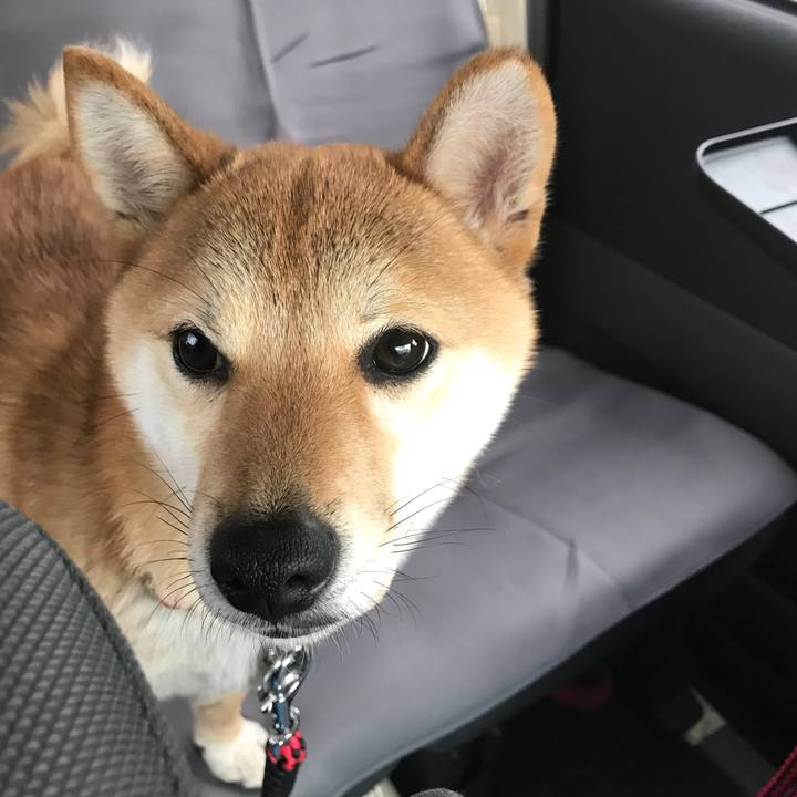 Fda2b26c c930 4812 8d1d 3170fdf59047 1519627739609