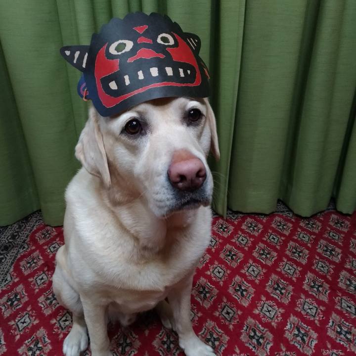 Fda2b36f e878 462f 9c53 e426210ad0e3 1612261736701