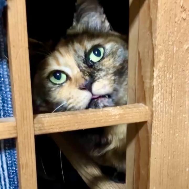 Fda2bac4 5695 4062 b197 4a46a3fd14a4 1739102335921