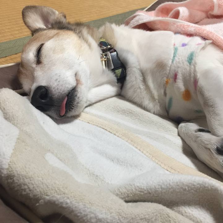 Fda2c594 23e2 4c35 9777 ef38510b55fb 1510615922912