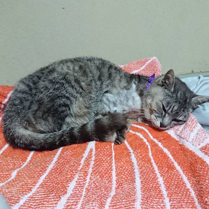 Fda2d0ad efbd 4469 ad5b 67af7bfa4893 1592571220639