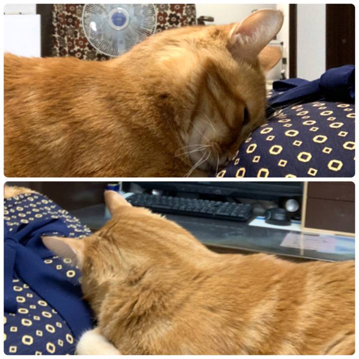 Fda304c2 9dd6 4daa 9188 96b482c1d0ad 1590101320654