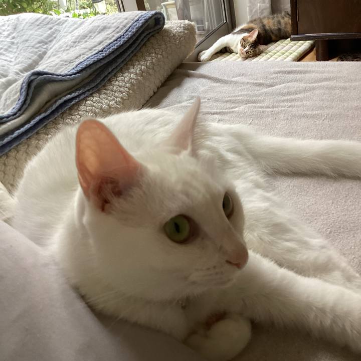 Fda30878 54c5 41f5 8f27 8a06bdcdd372 1664264572256