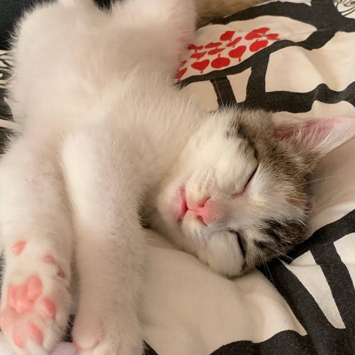 Fda3843b 3fe9 45da 8e72 e6ad142b0c98 1591936905336