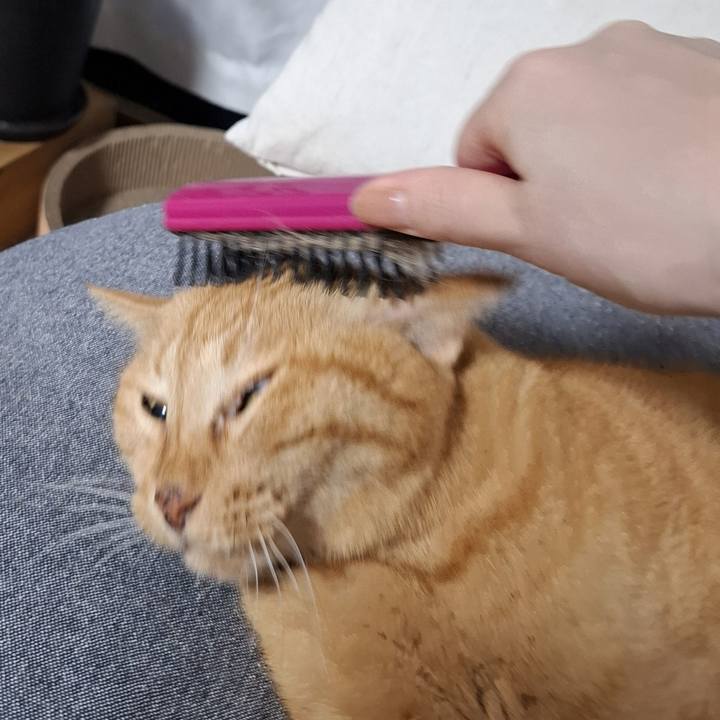 Fda3a64a 9256 42e1 967d 9baa28f9fa43 1760087464611