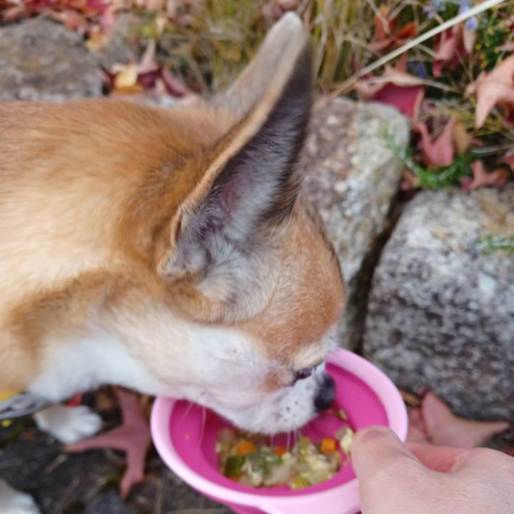 Fda3a6a8 0c2f 4bd5 826d 6d7990d80c37 1764630281741