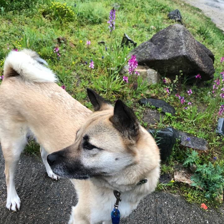 Fda3c2e0 fab7 4735 8051 1b5c3c400618 1585742028395