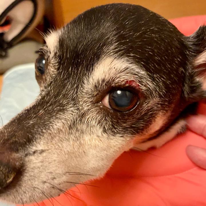 Fda3c926 8f14 4e26 8f91 ba08c24142fe 1628408972472