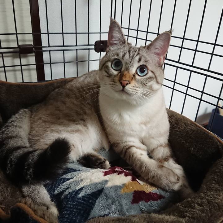 Fda3f424 7ac6 4acf 8e0d 2b412c654796 1538048833698