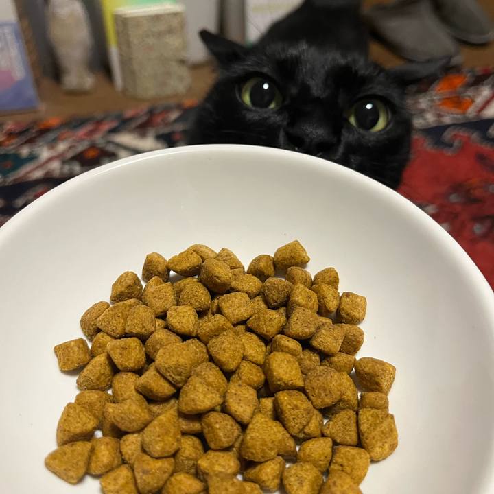 Fda3ffdc 47ae 4b4e b74f 2de3730bfa1f 1717331055235