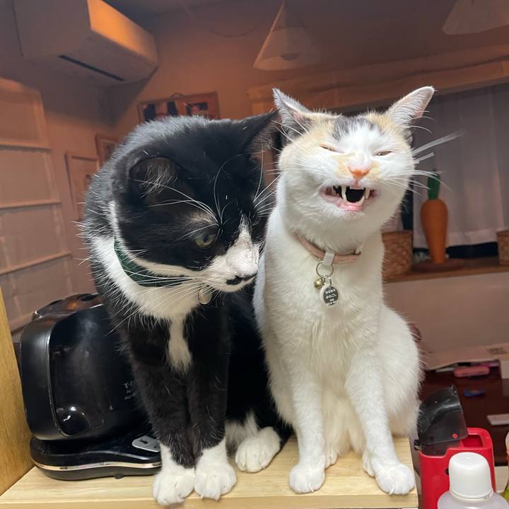 Fda42cf9 ac85 4fd0 99b5 67fd7975b724 1743158982919