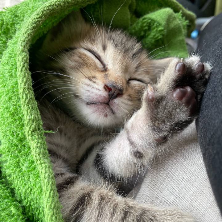 Fda437ed de37 408e b383 3a92790e91d2 1596237146333