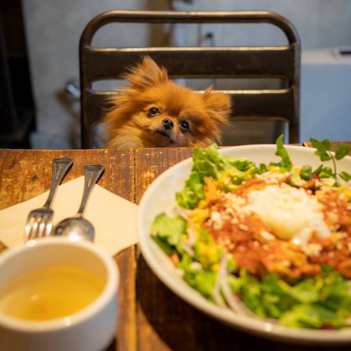 Fda447e6 3f3a 4271 8e02 fc00eccf5171 1549814792726