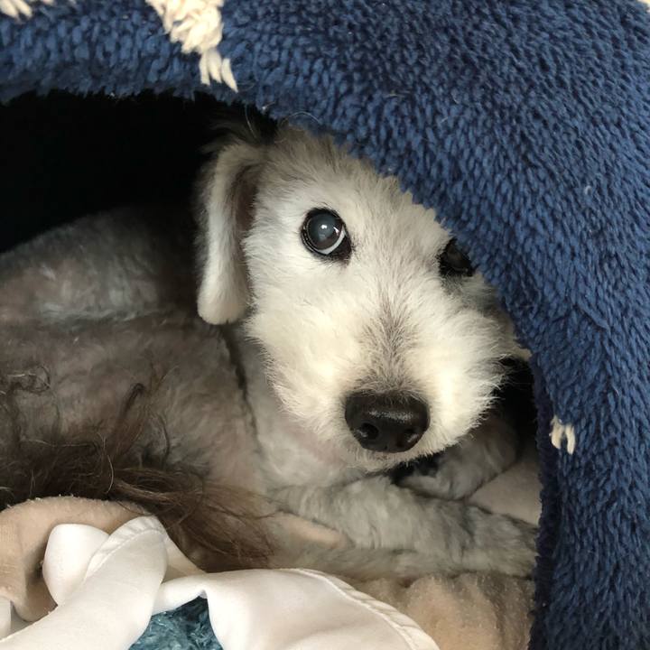 Fda4540f b24f 4bd0 a731 ef0405fbc6da 1588307829332