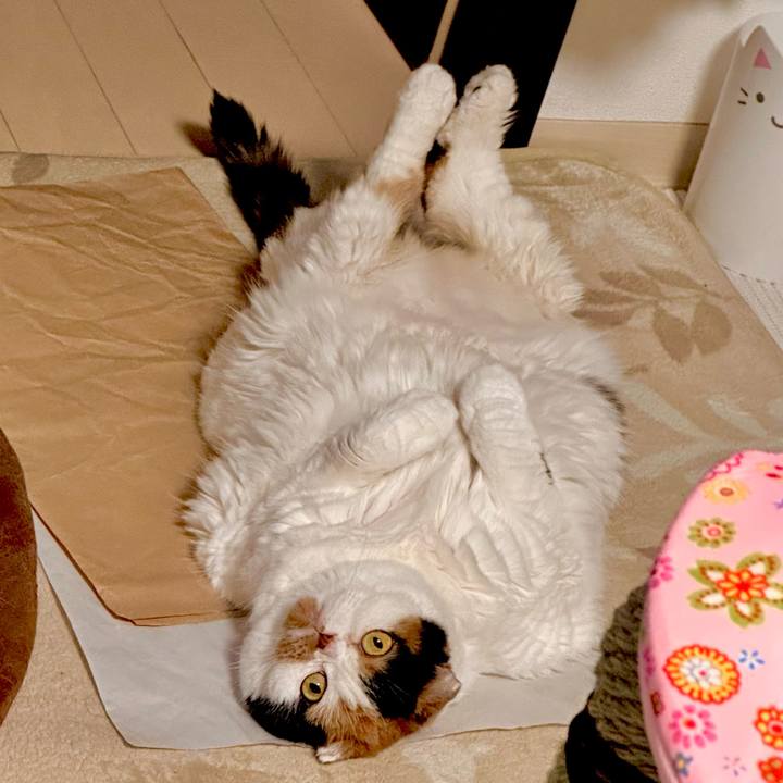 Fda470bb 3223 4717 8723 d27c2bb9c4d7 1700796653899