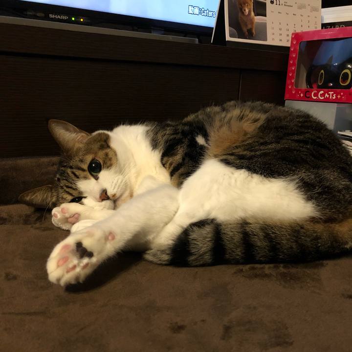 Fda478bc 57bc 4134 b7ad b1a102f66e96 1542668879252