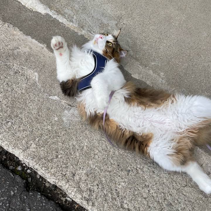 Fda48409 6e6f 4c19 87b2 e5126dac36e8 1656191767348