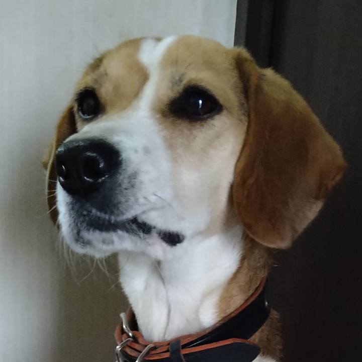 Fda48d24 8d71 461b 977a 1540a45d76af 1644148223789