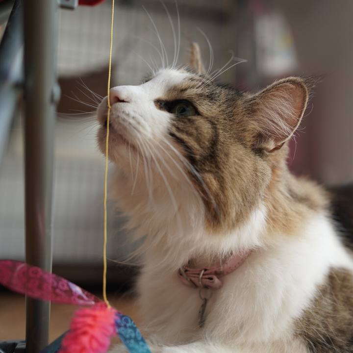 Fda4b070 1738 4146 9b88 8ebed2dfe8e0 1601605783884