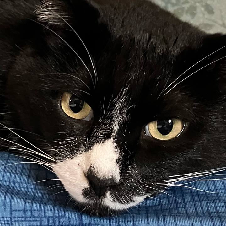 Fda4bf23 2bdc 447f 8351 83285a4434df 1761361783033