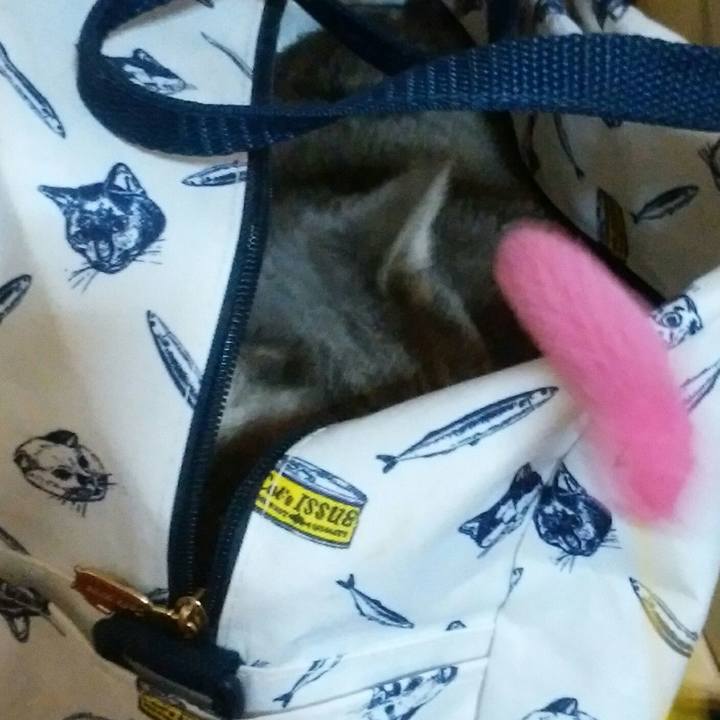 Fda4e502 7bec 49f8 9c3f d0e8b872be39 1546864376575