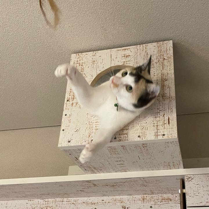 Fda51ae2 4bb8 4a2e adbe 7120fea8713e 1704700394968