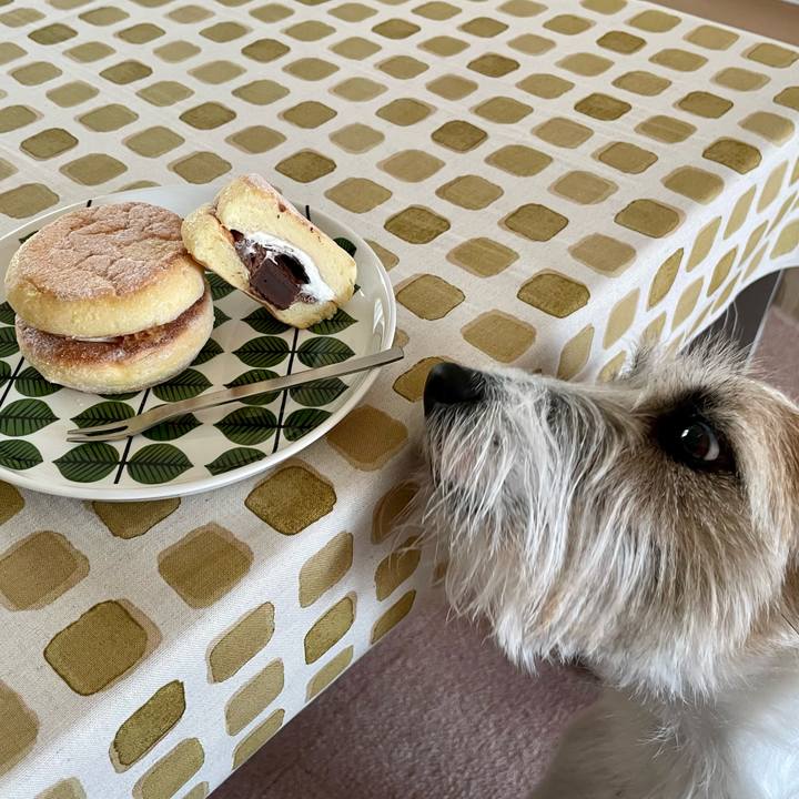 Fda528e2 a088 49e5 b5a2 ab847fd491ae 1648442910688