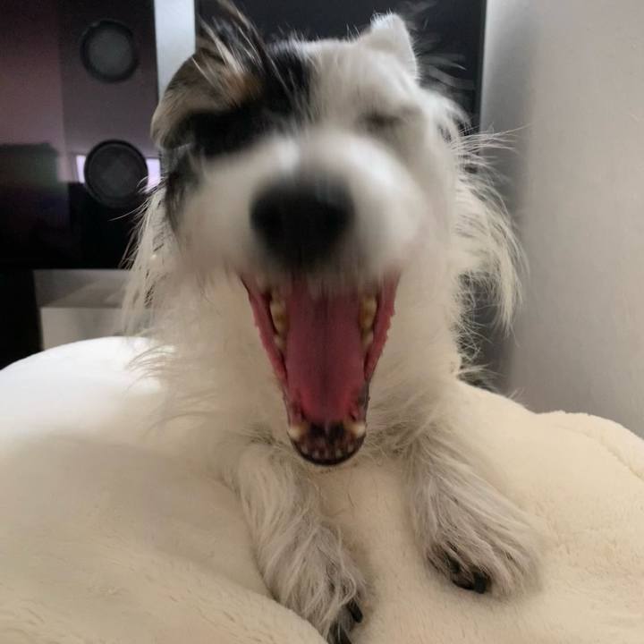 Fda552ee abeb 412e a892 65cf2d0896ce 1698724067112