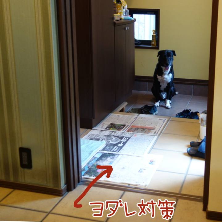 Fda56f5d 23b5 4706 8d94 be84c4b6d39b 1658447699897