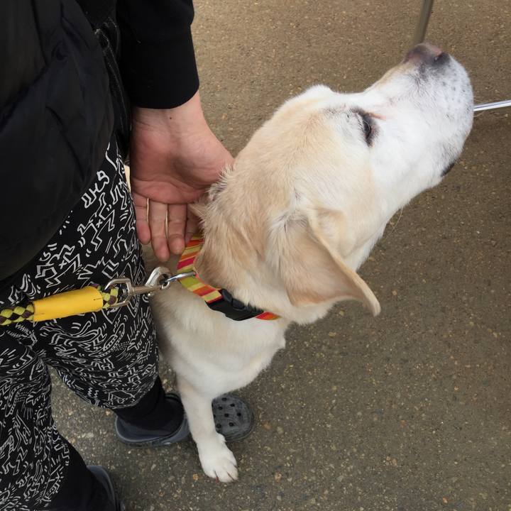 Fda591e2 9e46 42b2 9829 c849f6011b20 1523942018873