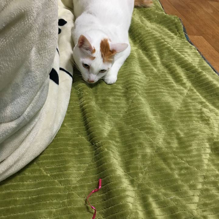 Fda5aeca 1045 45a0 ab35 8cd896ed55f0 1546438741604