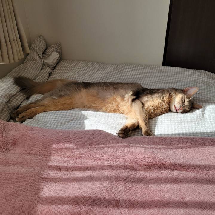 Fda5bd53 e065 48e5 a1d3 a5e8d8523076 1639627411976