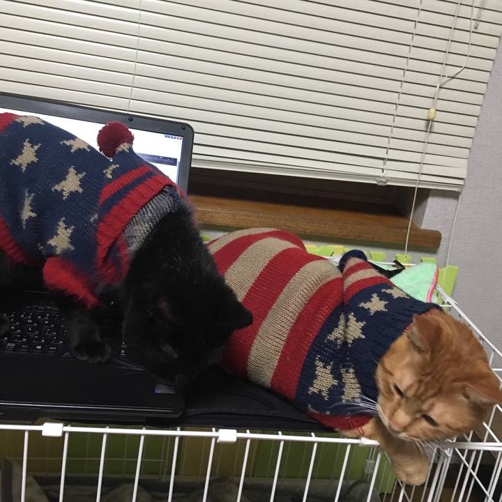 Fda5ff07 c0d8 4a65 9709 e4f0eada06b8 1542141714465