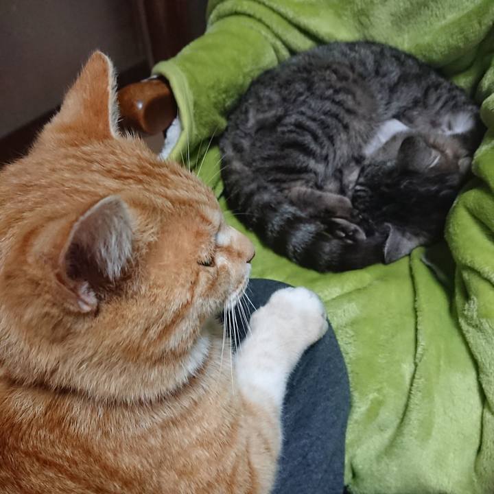 Fda6290f 89df 45cd ba77 959f64fd565a 1587881358931