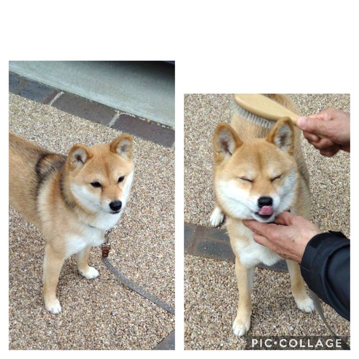 Fda64bbe ebc0 40b7 9a8d 60353ac5caef 1646382610403