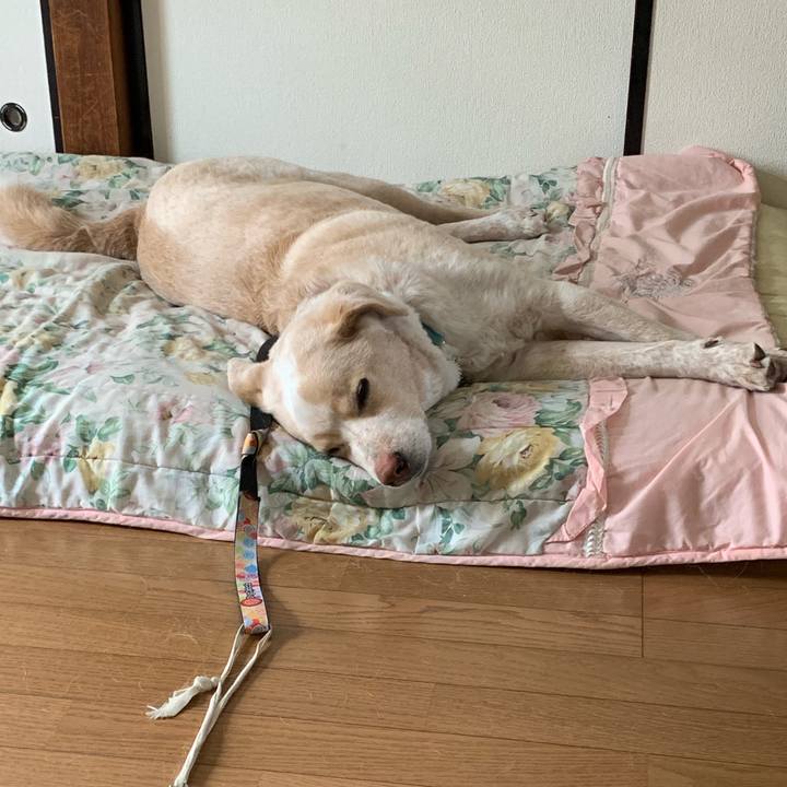 Fda66ca4 c138 4335 a991 db51f038c5e9 1557632303685